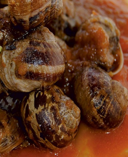 Recette du Ragoût d'Escargots à la Castillane authentique, un plat espagnol fondant et parfumé de Castille-et-León