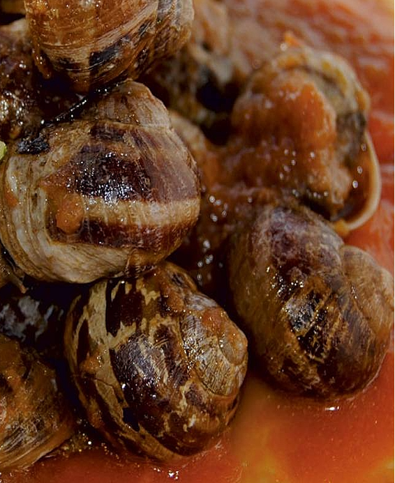 Recette du Ragoût d'Escargots à la Castillane authentique, un plat espagnol fondant et parfumé de Castille-et-León