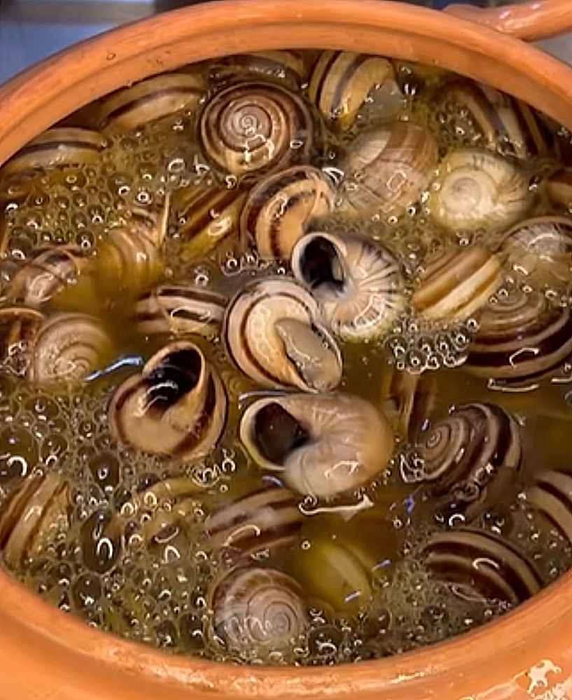 Recette Babbouche — escargots au bouillon thérapeutique marocain (street-food de Marrakech)