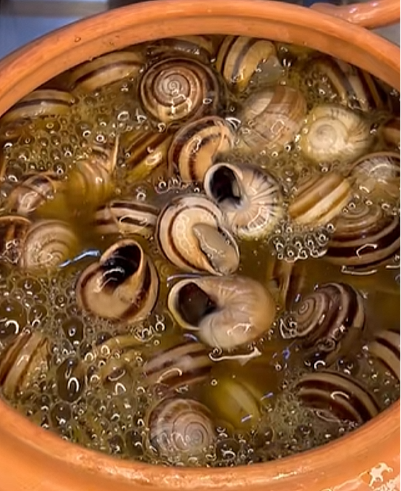 Recette Babbouche — escargots au bouillon thérapeutique marocain (street-food de Marrakech)