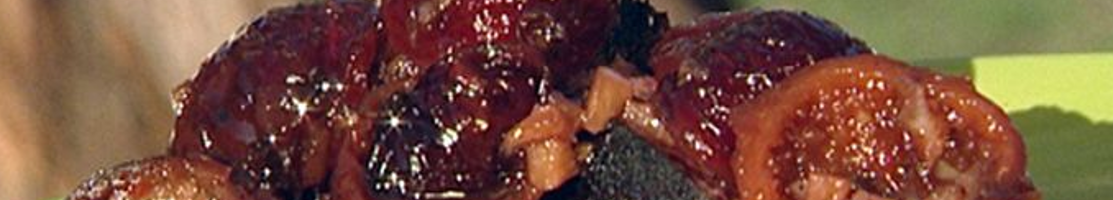 Condiments d'Océanie