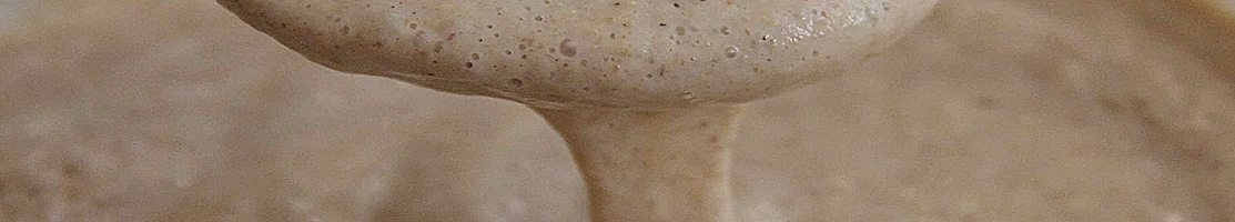 Fermentations & Levains