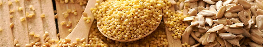 Bases céréalières