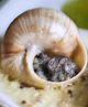 Escargots